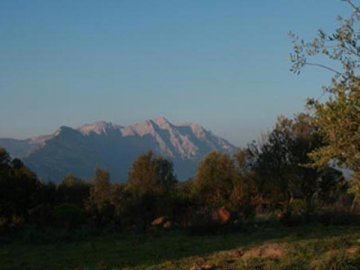 Agriturismo Sardinie - Dorgali - Boerderij Neule (7)